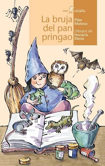 BRUJA DEL PAN PRINGAO,LA | 9788498456462 | PILAR MATEOS