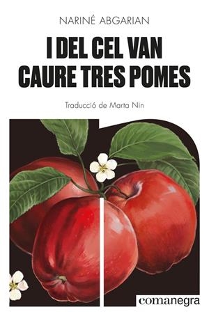 I DEL CEL VAN CAURE TRES POMES | 9788418857041 | ABGARIAN, NARINÉ