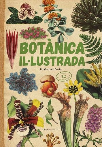 BOTÀNICA IL·LUSTRADA | 9788419095091 | SORIA, CARMEN