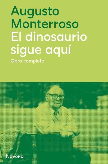 DINOSAURIO SIGUE AQUÍ | 9788419311177 | MONTERROSO, AUGUSTO