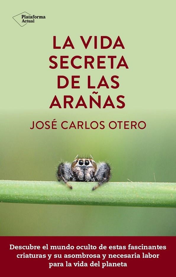 VIDA SECRETA DE LAS ARAÑAS | 9788419655189 | OTERO, JOSÉ CARLOS
