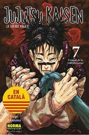 JUJUTSU KAISEN 07 CATALA | 9788467957617 | AKUTAMI , GEGE