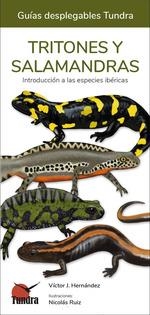 TRITONES Y SALAMANDRAS | 9788419624116 | AA.VV