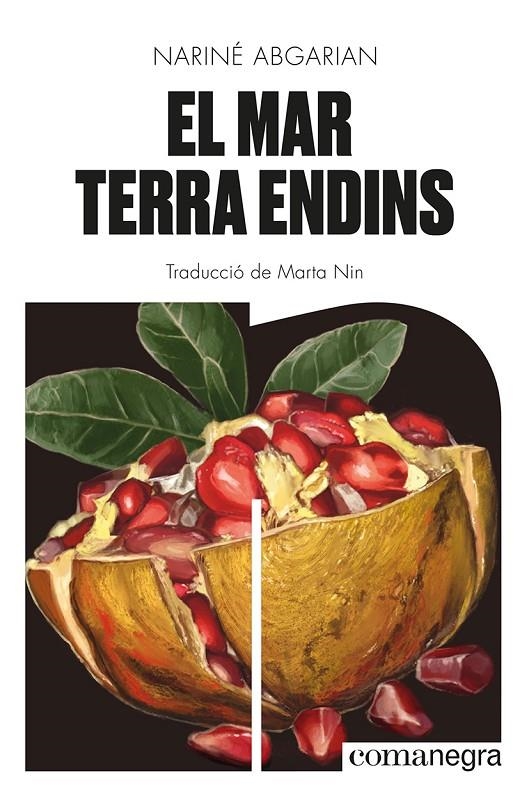 MAR TERRA ENDINS | 9788419590343 | ABGARIAN, NARINÉ