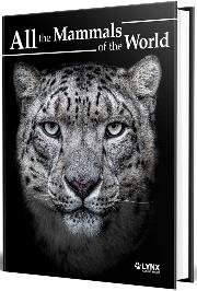 ALL THE ANIMALS OF THE WORLD | 9788416728664 | WOOD WENDY