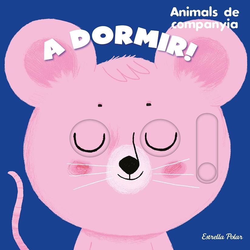 A DORMIR! ANIMALS DE COMPANYIA | 9788413895390 | ROEDERER, CHARLOTTE