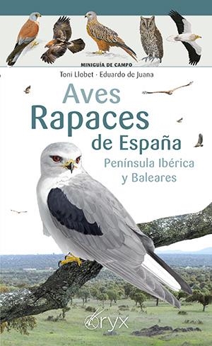AVES RAPACES DE ESPAÑA, PENÍNSULA IBÉRICA Y BALEARES | 9788418735394 | LLOBET, TONI/DE JUANA, EDUARDO