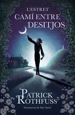 ESTRET CAMÍ ENTRE DESITJOS | 9788419259820 | ROTHFUSS, PATRICK