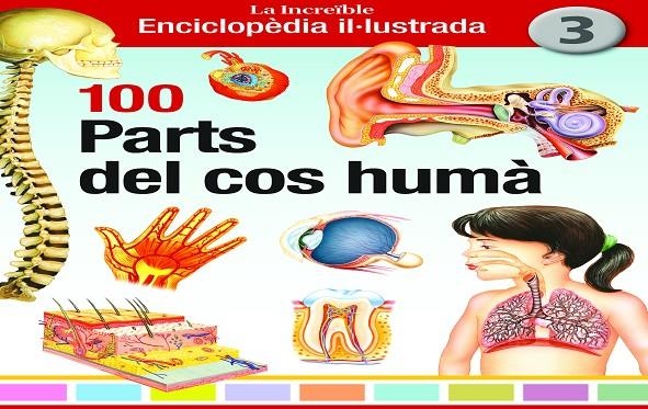 100 PARTS DEL COS HUMÀ | 9788412636291 | MUNS CABOT, MARIA TERESA