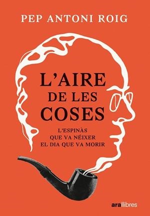 AIRE DE LES COSES, L' | 9788411730440 | ANTONI ROIG, PEP