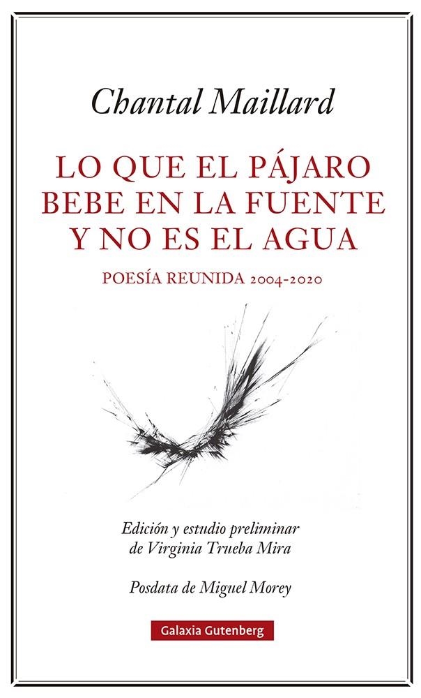 LO QUE EL PÁJARO BEBE EN LA FUENTE Y NO ES EL AGUA | 9788418807633 | MAILLARD, CHANTAL