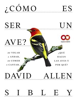 CÓMO ES SER UN AVE? DE VOLAR A ANIDAR, DE COMER A CANTAR... ¿QUÉ HACEN LAS AVES | 9788441549050 | ALLEN SIBLEY, DAVID
