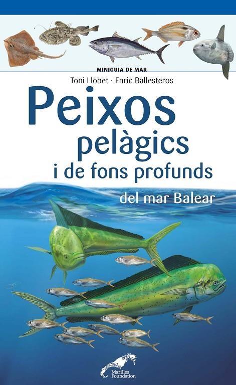 PEIXOS PELÀGICS I DE FONS PROFUNDS DEL MAR BALEAR | 9788490349397 | BALLESTEROS SAGARRA, ENRIC/LLOBET FRANÇOIS, TONI