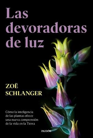DEVORADORAS DE LUZ | 9788449343742 | SCHLANGER, ZOË