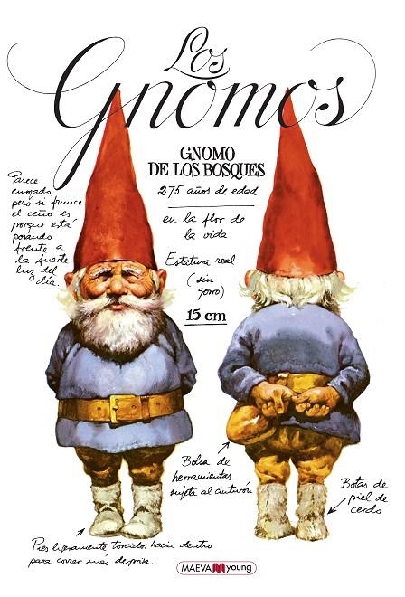 GNOMOS, LOS | 9788410260955 | HUYGEN, WIL/POORTVLIET, RIEN