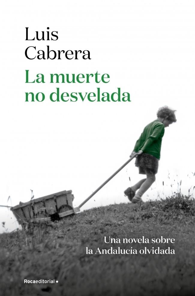 MUERTE NO DESVELADA | 9788410274402 | CABRERA, LUIS