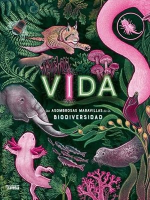 VIDA | 9786075840338 | N.R. SMITH, JENNIFER