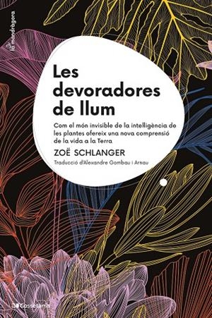 DEVORADORES DE LLUM | 9788413564821 | SCHLANGER, ZOË