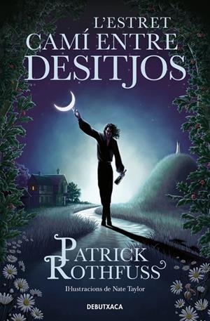 ESTRET CAMÍ ENTRE DESITJOS | 9788419394682 | ROTHFUSS, PATRICK