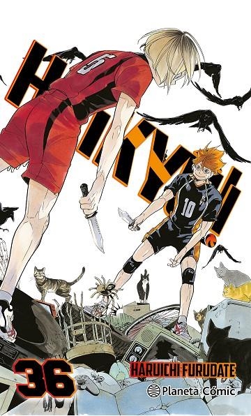HAIKYÛ!! Nº 36/45 | 9788411619370 | FURUDATE, HARUICHI