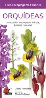 ORQUIDEAS INTRODUCCION A LAS ESPECIES IBERICAS BALEARES CAN | 9788419624499 | VICTOR J HERNANDEZ