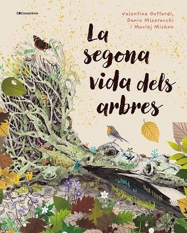 SEGONA VIDA DELS ARBRES | 9788413565040 | MISEROCCHI, DANIO/MICHNO, MACIEJ