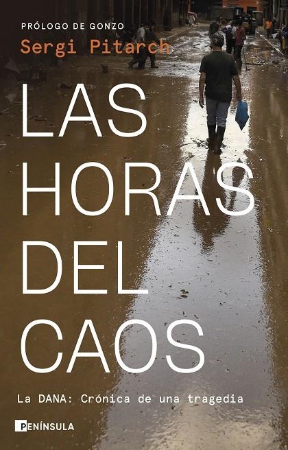 HORAS DEL CAOS | 9788411004244 | PITARCH, SERGI
