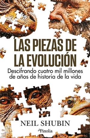 PIEZAS DE LA EVOLUCIÓN, LAS | 9788419878649 | SHUBIN, NEIL