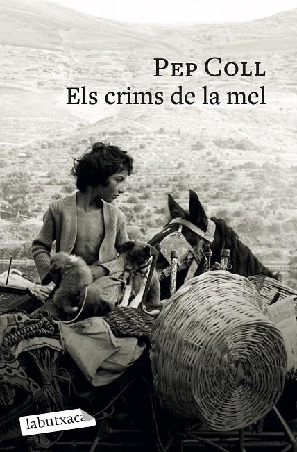 CRIMS DE LA MEL | 9791387802196 | COLL, PEP