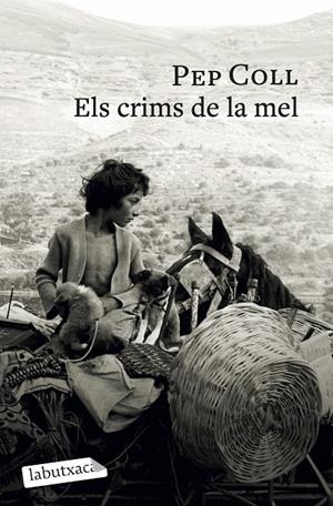 CRIMS DE LA MEL | 9791387802196 | COLL, PEP