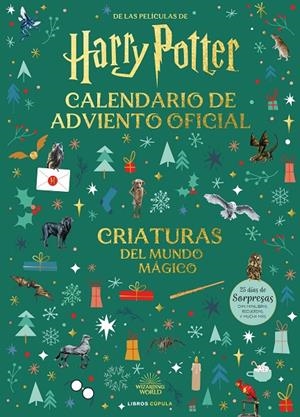 HARRY POTTER: CALENDARIO DE ADVIENTO 2025 | 9788448045128 | AA. VV.
