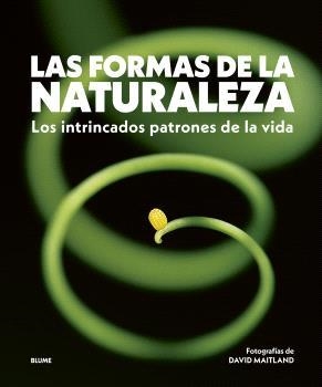 FORMAS DE LA NATURALEZA | 9788410469822 | MAITLAND, DAVID