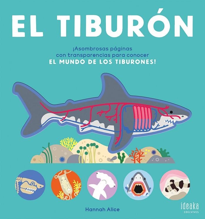 TIBURÓN, EL | 9788414064900