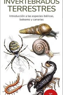 INVERTEBRADOS TERRESTRES - GUIAS DESPLEGABLES TUNDRA | 9788418458804 | HERNANDEZ, VICTOR J.