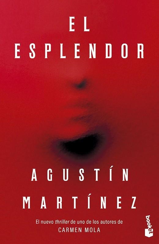 ESPLENDOR, EL | 9788408315148 | MARTÍNEZ, AGUSTÍN