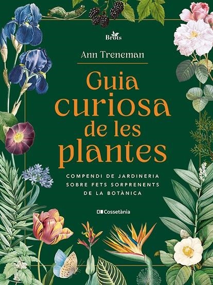 GUIA CURIOSA DE LES PLANTES | 9788413565354 | TRENEMAN, ANN