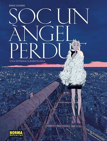 SOC UN ANGEL PERDUT | 9788467981919 | LAFEBRE, JORDI