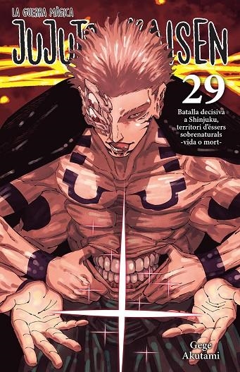 JUJUTSU KAISEN 29 CATALA | 9788467976274 | AKUTAMI, GEGE