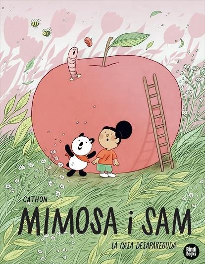 CASA DESAPAREGUDA, LA | 9791387594176 | CATHON