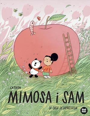 CASA DESAPAREGUDA, LA | 9791387594176 | CATHON