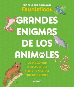 GRANDES ENIGMAS DE LOS ANIMALES (COLECCIÓN GRANDES ENIGMAS) | 9788427253698 | DE LA RIVA DOMÍNGUEZ (FAUNÍSTICOS), ÉRIC