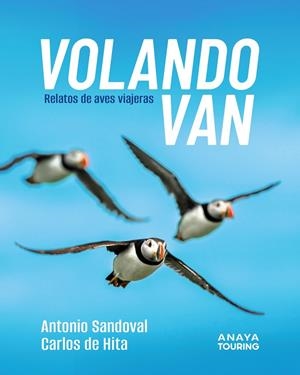 VOLANDO VAN | 9788491589303 | SANDOVAL REY, ANTONIO JUAN/HITA MORENO, CARLOS DE