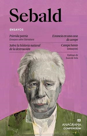 ENSAYOS | 9788433949585 | SEBALD, W. G.