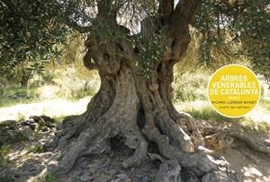 ARBRES VENERABLES DE CATALUNYA VOLUM 2 | 9788409774678 | LLERINS BONET, RICARD