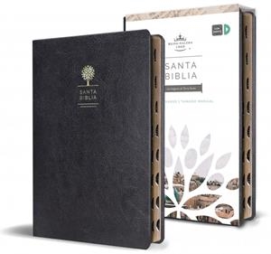 BIBLIA REINA VALERA 1960 LETRA GRANDE. SÍMIL PIEL NEGRO | 9781644732168 | REINA VALERA REVISADA