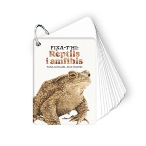 FIXA-T'HI: RÈPTILS I AMFIBIS | 9788410407602 | SANJUAN LLORENS, ANNA/NOGUÉS OTERO, ALEX