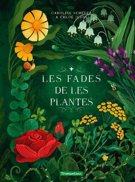 FADES DE LES PLANTES | 9788419829313 | SCHEUER, CAROLINE