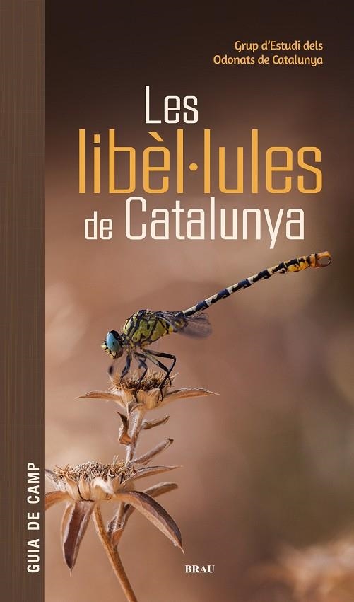 LIBÈL·LULES DE CATALUNYA, LES | 9791387701178 | GRUP D'ESTUDIS DELS ODONATS DE CATALUNYA