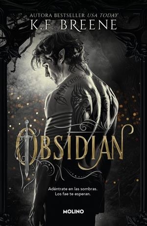  FAE DE LAS SOMBRAS 1 - OBSIDIAN | 9788427257290 | BREENE, K.F.