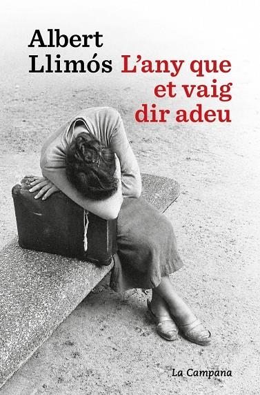 ANY QUE ET VAIG DIR ADEU | 9791387564452 | LLIMÓS, ALBERT